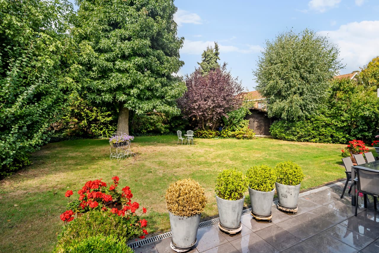 Zonnige tuin met gazon, volwassen beplanting en terras